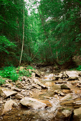 The mountain river in the Carpathians, Ukraine