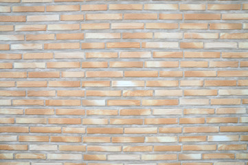 Brick wall use for background.