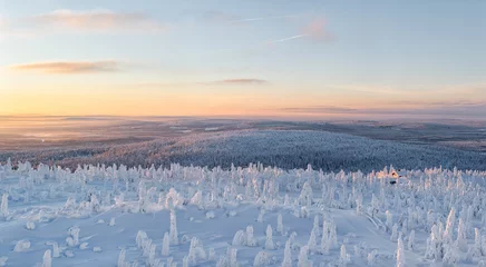Foto auf Acrylglas Sunset in a winterwonderland © Menno Schaefer