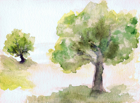 Orchard