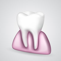 Vector tooth in the gum