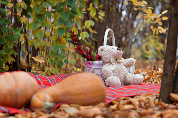 a teddy bear Teddy sits on a carpet near a basket