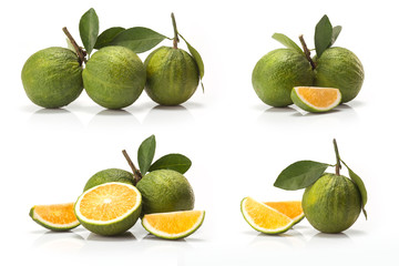 sweet green Oranges fruit  isolated on white background