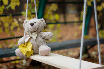 a teddy bear Teddy sits on a swing