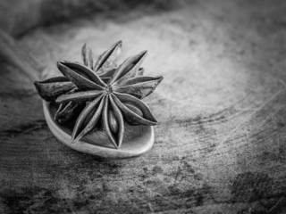  black and white star anise