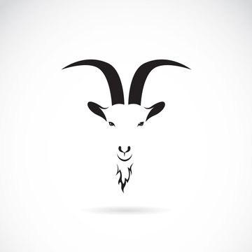 Vector of goat head on white background. Animal. 