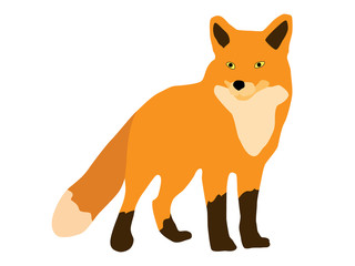 fox