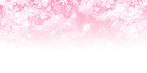 桜　花　背景