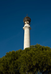 Column and pine tree