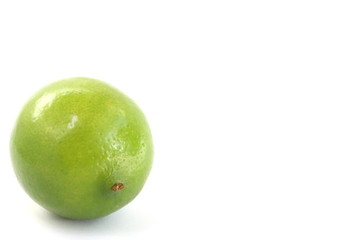 Green Lime on White Background