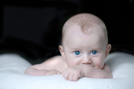2 856 Best Yeux Bleus Images Stock Photos Vectors Adobe Stock