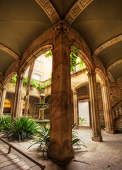 Fototapeta na wymiar typical patio in Spain