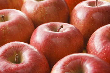 りんご　Apple