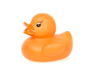 Orange rubber duck