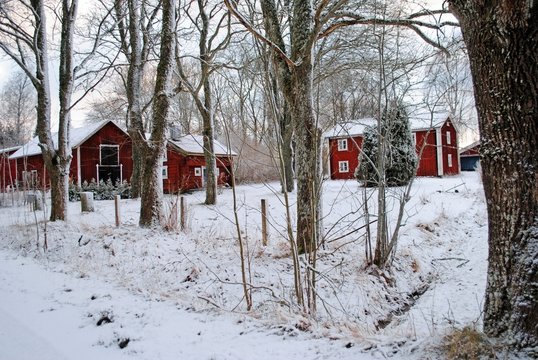 Bauernhof im Wald