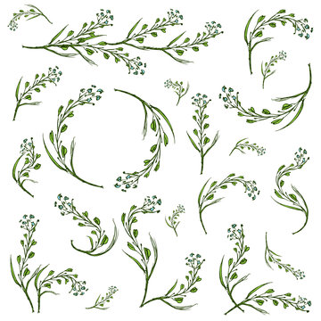 Spring floral illustrated graphic set for your design