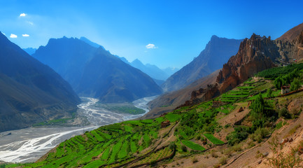 Fototapeta premium dhankar