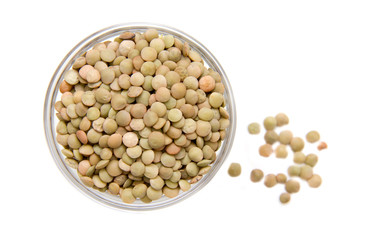 Lentils in glass bowl on white background viewed from above
