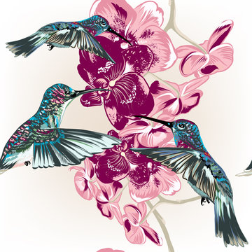 Floral seamless wallpaper pattern with hummingbirds and orchid f