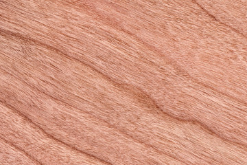 Cherry Wood Veneer Grunge Texture Sample