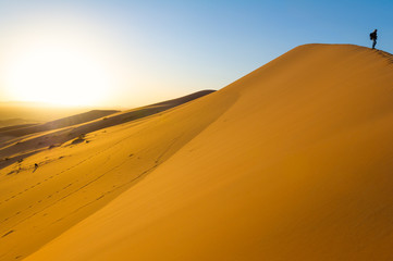 Naklejka na ściany i meble Traveler in the desert, active young woman trekking