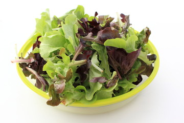 Ceuillette du jardin © helenedevun