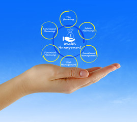 Fototapeta premium Wealth Management