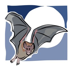 sketchy bat