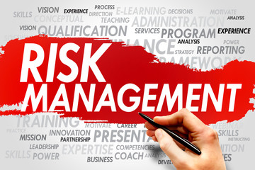 Risk Management word cloud, business concept
