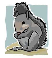 sketchy grey squirrel