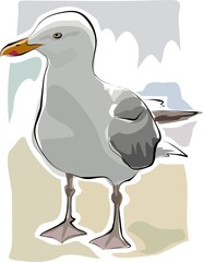 Fototapeta premium sketchy seagull