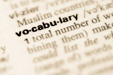Dictionary definition of word vocabulary - obrazy, fototapety, plakaty