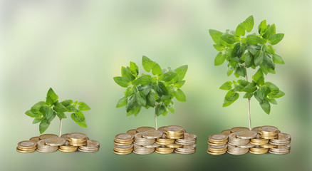 Progress of green business