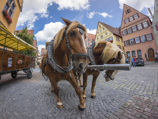 Naklejka na ściany i meble Dinkelsbuehl is an historic city in Bavaria