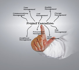 project execution