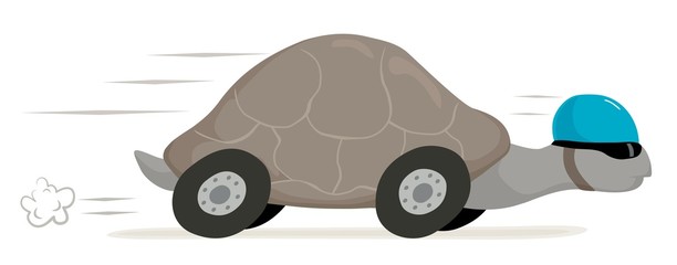 Naklejka premium tortoise on wheels