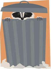 Trash can raccoon.