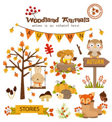 Fototapeta premium Animal woodland autumn vector set