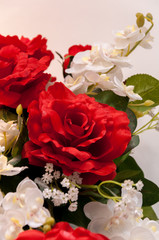 Rosa di San Valentino