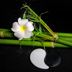 spa setting of white frangipani flower, symbol Yin Yang and natu