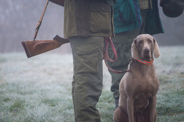 Picture of hunter's dog waiting by his master.