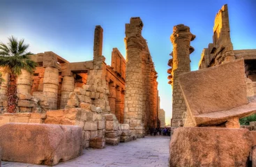 Foto op Plexiglas Gezicht op de Grote Hypostyle Zaal in Karnak - Egypte © Leonid Andronov