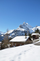 Fototapeta na wymiar Spring in Braunwald, famous Swiss skiing resort