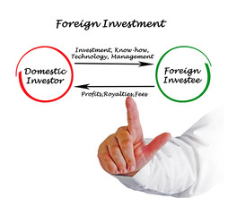Foreign Investment.