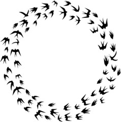 Swallow silhouette in circle frame