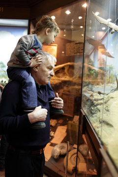 Grandfather with his grandson at the museum