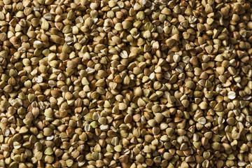 Raw Dry Organic Buckwheat
