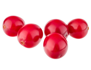 cranberry  isolated on white background cutout