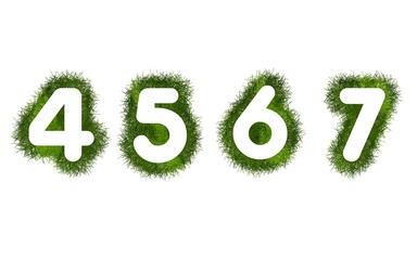 Four, five, six and seven, numbers with grass arround