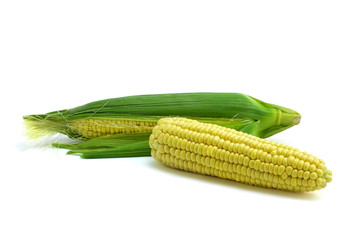 corn ear